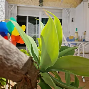 San Antonio - Beach, Pool And Terrace Apartamento